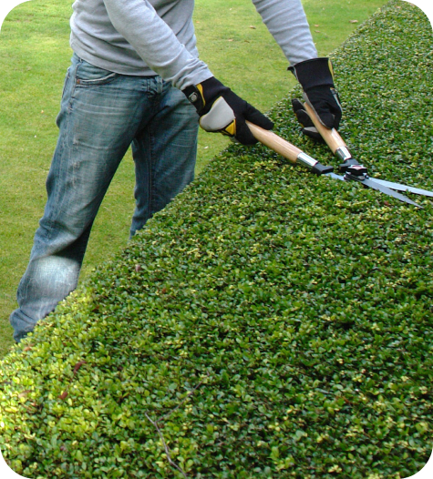 Paysagiste Demo 5 Img Presta1 Paysagiste Demo 5 Img Presta1