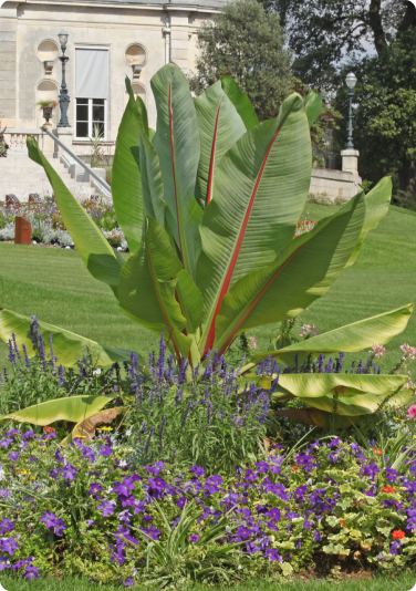 Paysagiste Demo 5 Real1 Paysagiste Demo 5 Real1